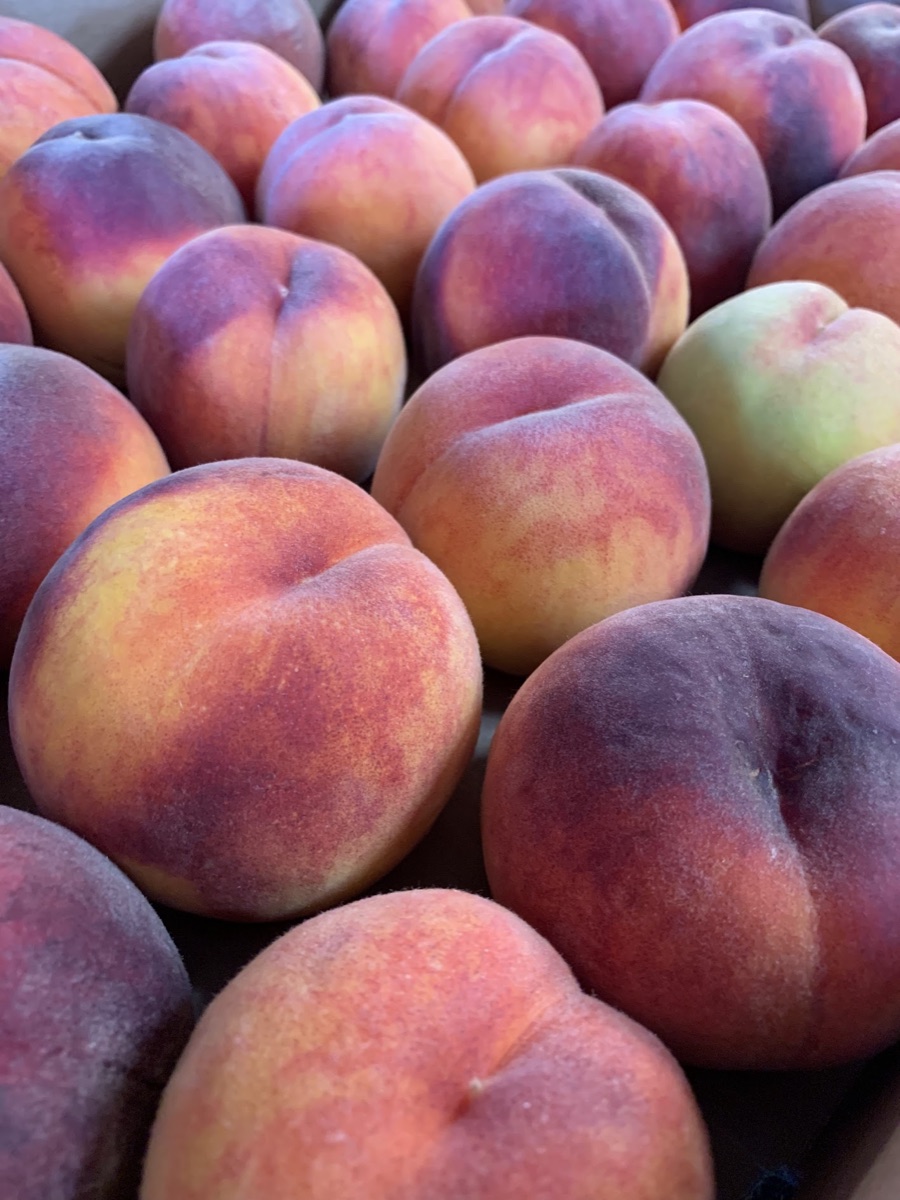 Fresh Summerland peaches